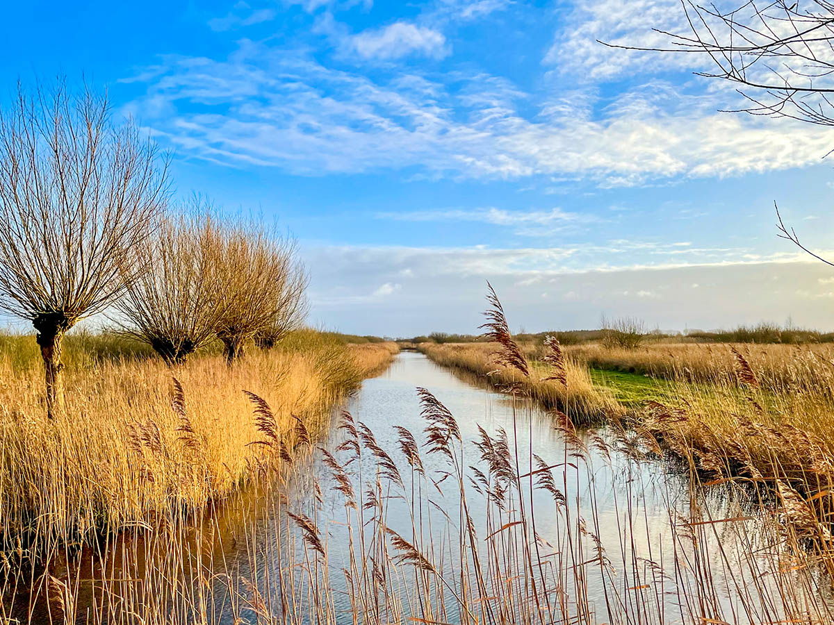 Rietland Alde Feanen, Friesland