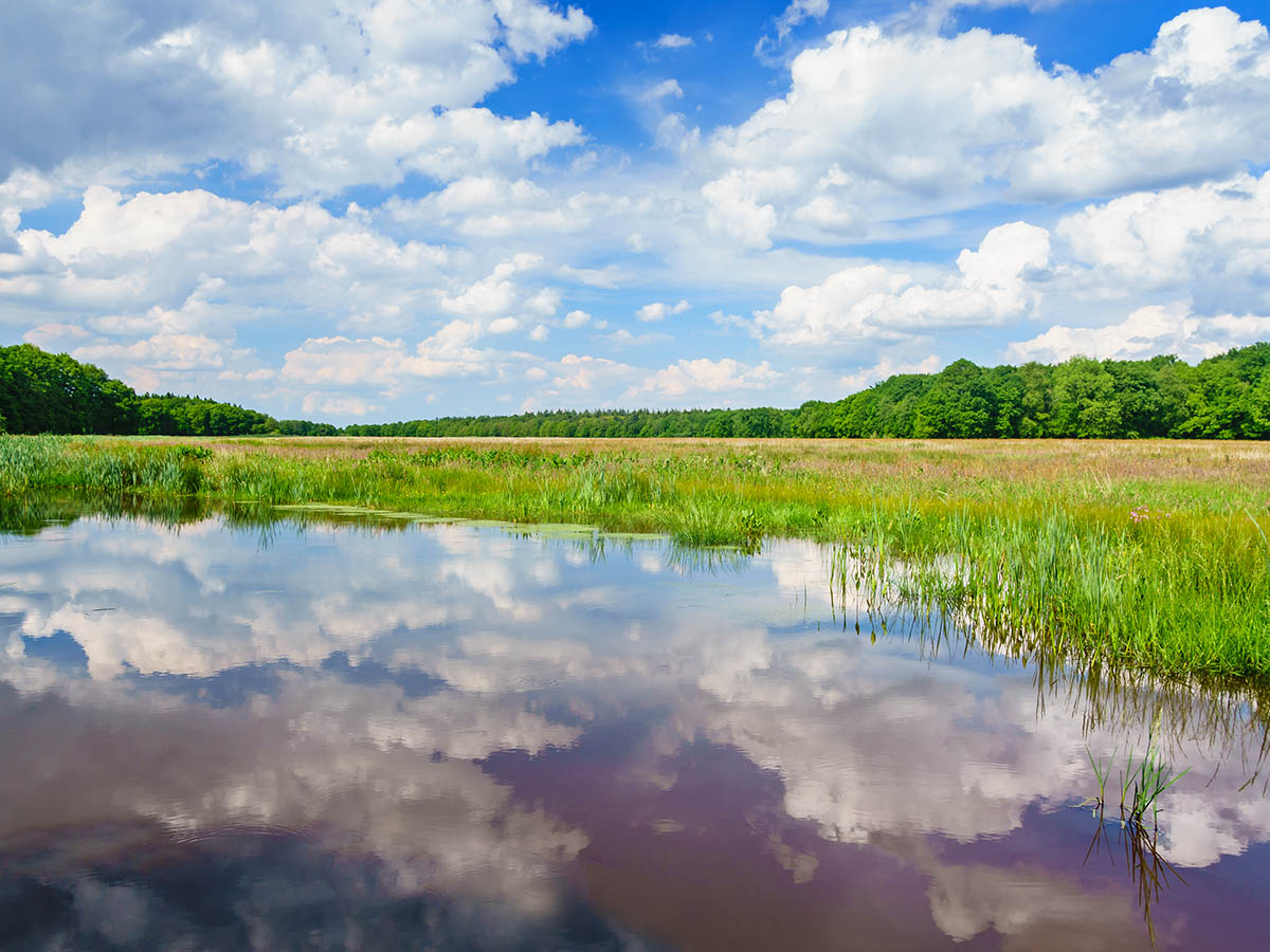 Moeraslandschap Moor-Veenland, Drenthe