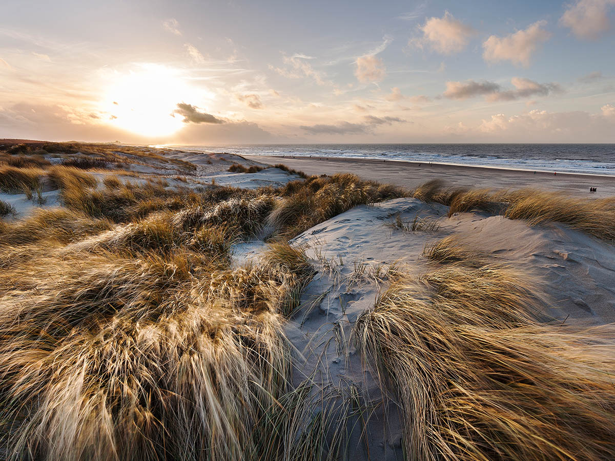 Zandduinen en helmgras langs de kustlijn bij Scheveningen in Zuid-Holland tijdens zonsondergang